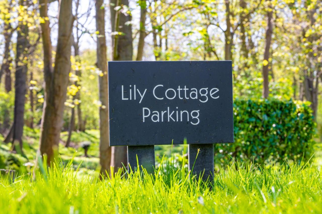 Lily Cottage By Big Skies Cottages Little Walsingham Exterior foto